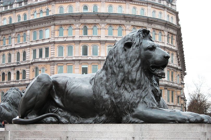 london_trafalgar-square-lion