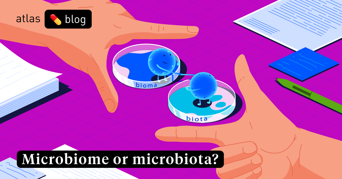Microbiome Vs Microbiota: What’s The Difference For Your Gut Bacteria?