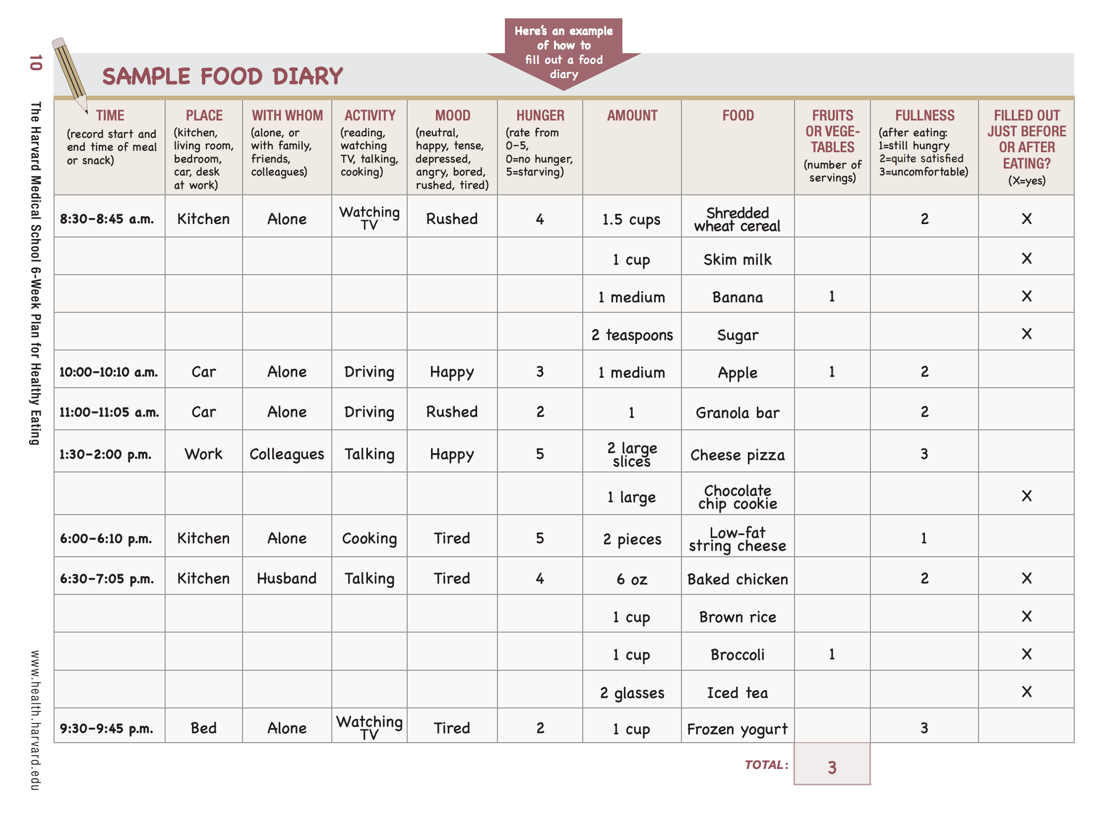 Printable Daily Food Log Example