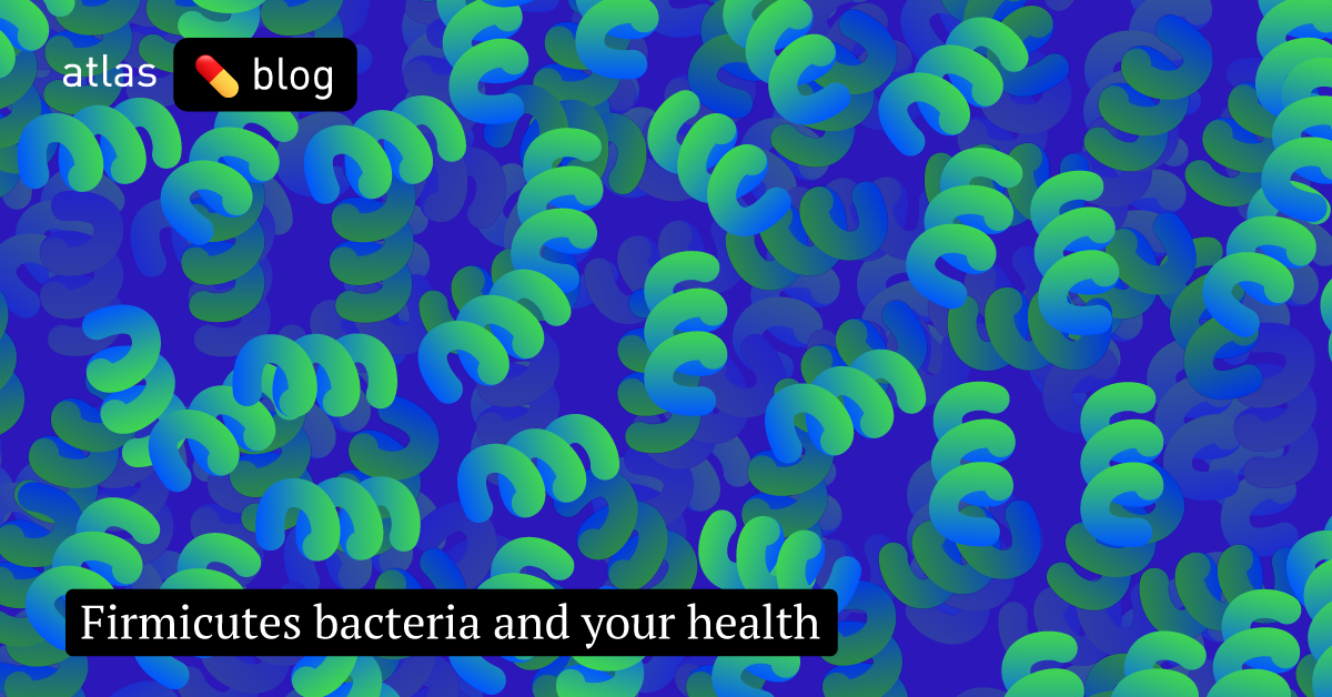 Firmicutes Bacteria: What Are They And Why Are They Important?