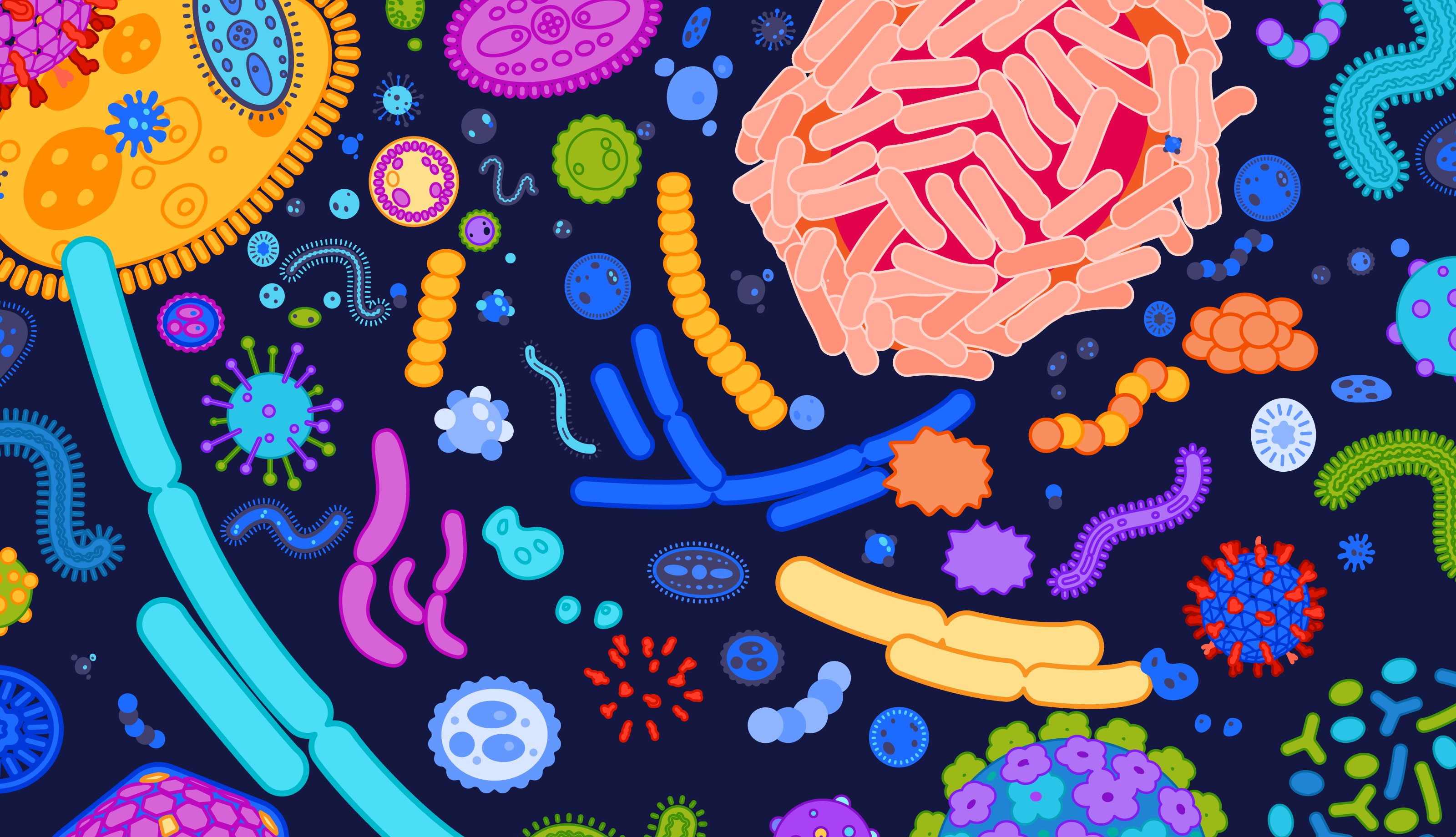You Are Plural: 7 Facts About The Microbiome And Gut Bacteria
