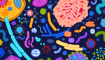 7 Crazy Facts About The Microbiome And Gut Bacteria