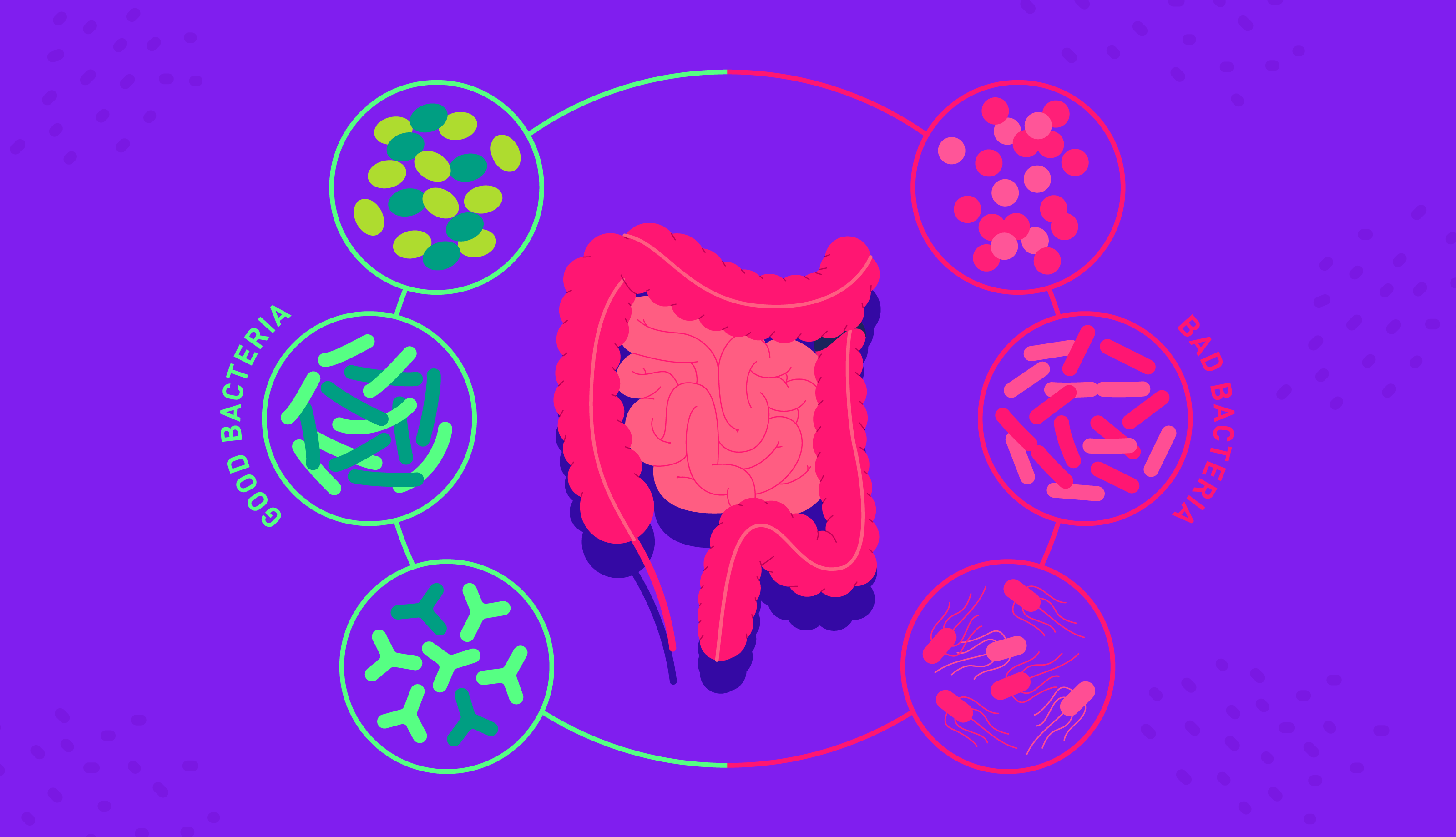 Dysbiosis: What Is Gut Dysbiosis And How To Heal Your Gut?