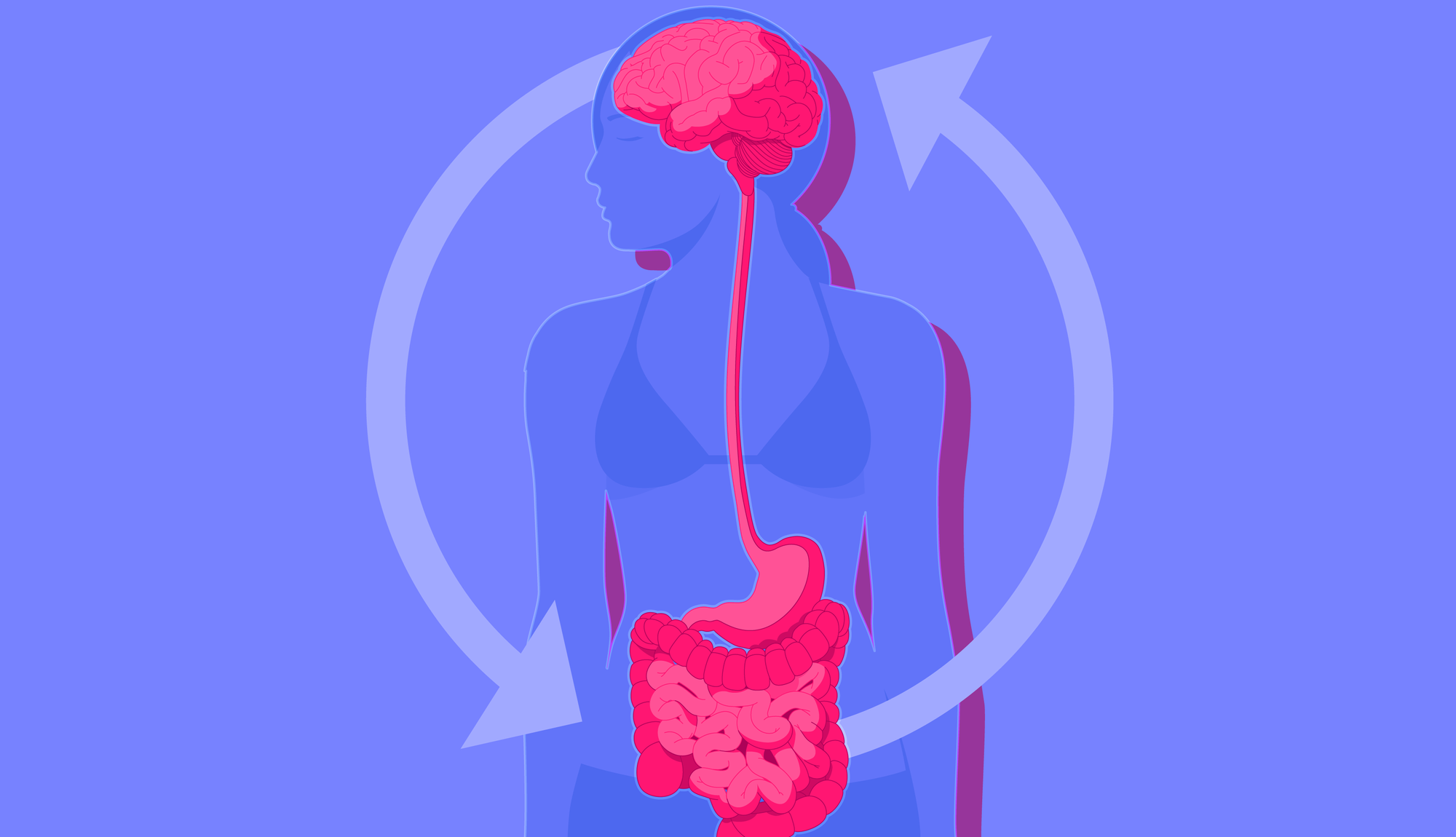 How Stress Impacts The Microbiome And Gut Health