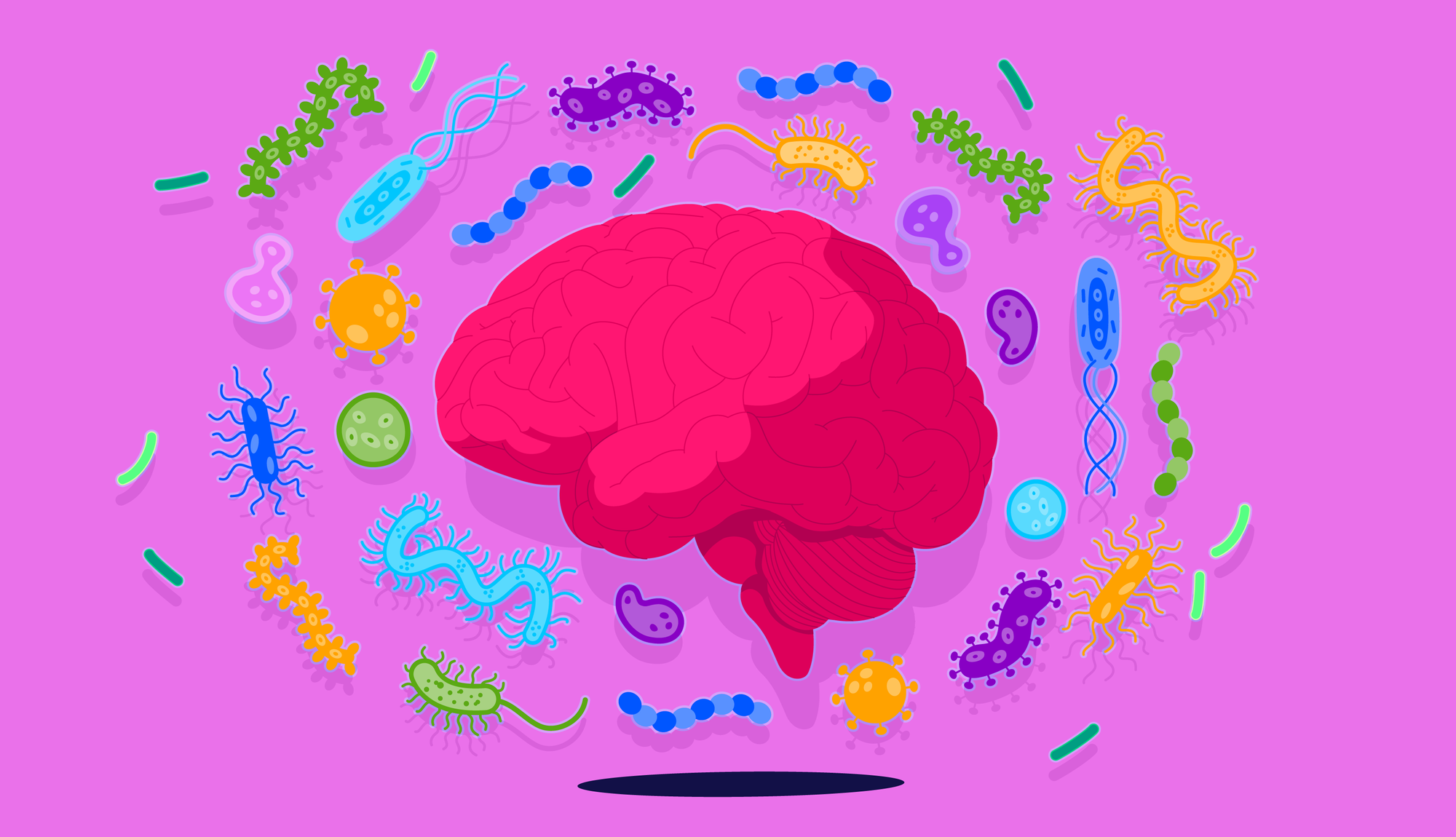 Gut Feelings: Do Microbes Influence Your Personality?